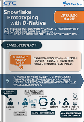 ビジネス課題の解決支援サービスSnowflake Prototyping with D-Native